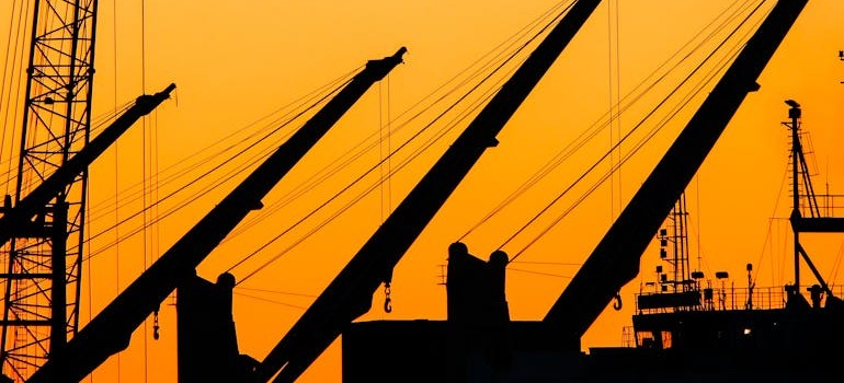 Silhouettes of cranes